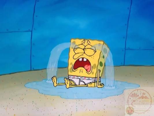 spongebob meme biểu tượng