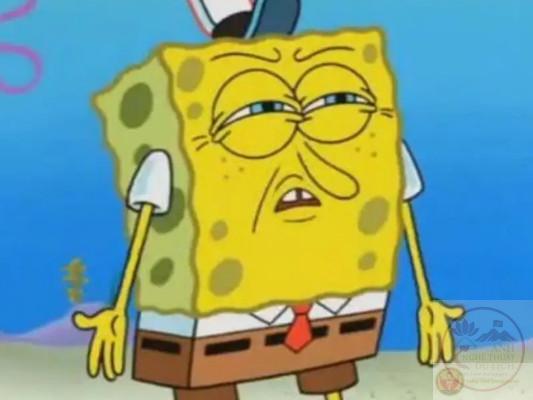 spongebob meme bất hủ