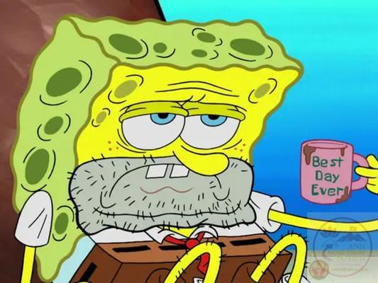 spongebob meme cực hài