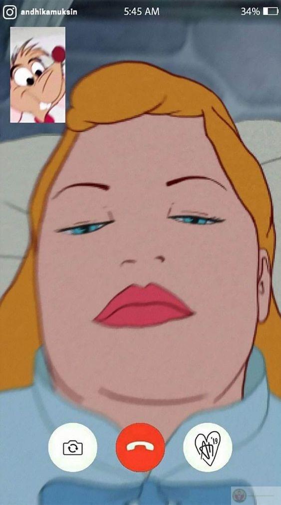 Ảnh mập meme công chúa