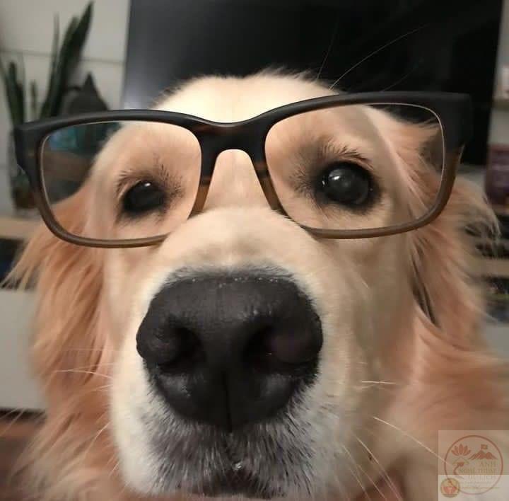 Ảnh chế hài nerd thường xuất hiện khi ai đó tỏ ra quá nghiêm túc trong thảo luận