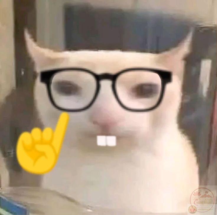 Nerd emoji với nụ cười răng hô gợi sự hài hước dí dỏm khó quên cho người xem