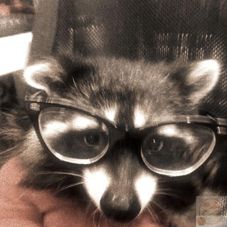 Hình chế nerd với nụ cười răng hô trở thành biểu tượng hài hước lâu dài