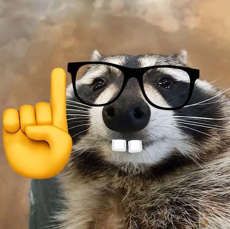 Meme mọt sách khiến nhiều người nhớ lại hình ảnh bạn bè