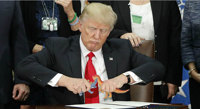 Chú chim đại bàng