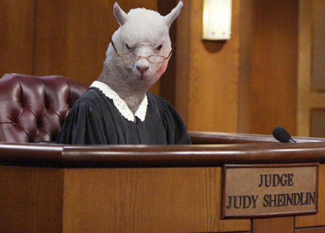 Bộ ảnh siêu “bựa” sẽ khiến bạn khâm phục khả năng Photoshop của con người 7