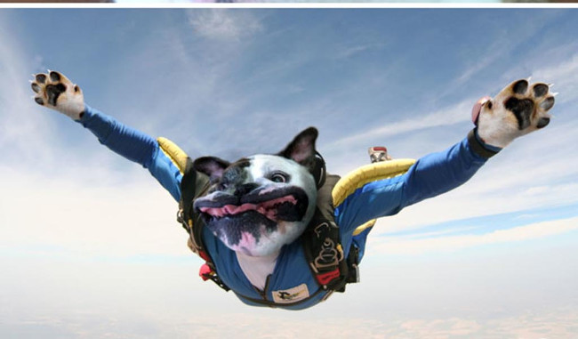 Bộ ảnh siêu “bựa” sẽ khiến bạn khâm phục khả năng Photoshop của con người 13