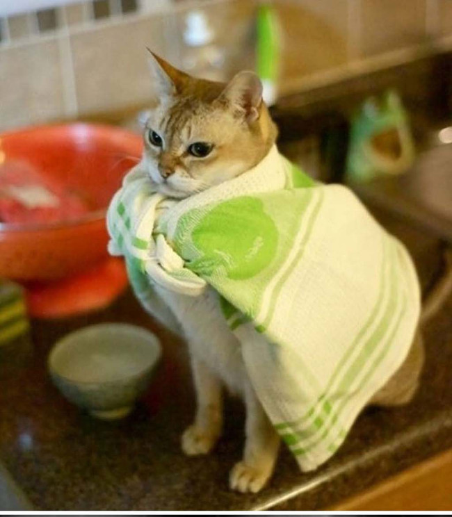 Bộ ảnh siêu “bựa” sẽ khiến bạn khâm phục khả năng Photoshop của con người 16