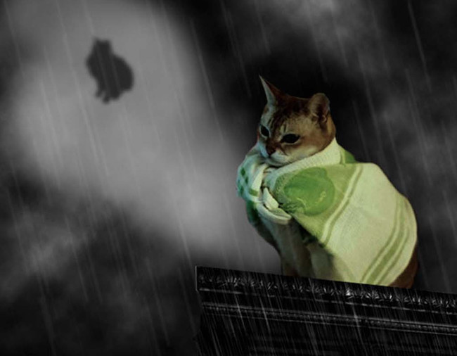 Bộ ảnh siêu “bựa” sẽ khiến bạn khâm phục khả năng Photoshop của con người 17