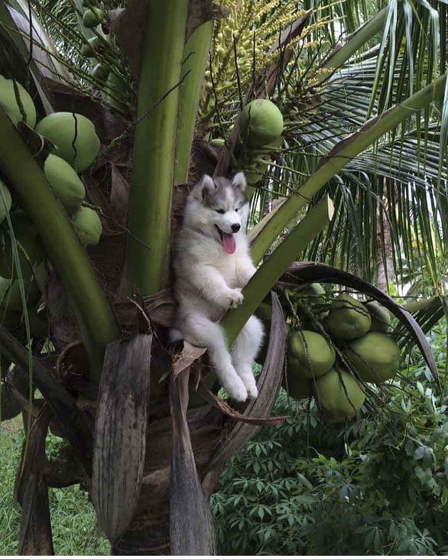 Bộ ảnh siêu “bựa” sẽ khiến bạn khâm phục khả năng Photoshop của con người 22