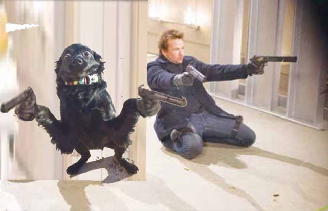 Bộ ảnh siêu “bựa” sẽ khiến bạn khâm phục khả năng Photoshop của con người 25