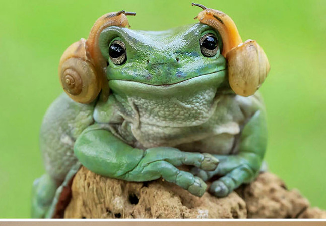 Bộ ảnh siêu “bựa” sẽ khiến bạn khâm phục khả năng Photoshop của con người 26