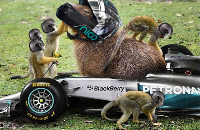 Bộ ảnh siêu “bựa” sẽ khiến bạn khâm phục khả năng Photoshop của con người 3