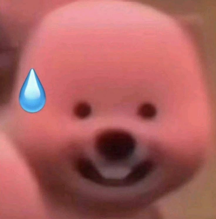 Loopy ngốc nghếch ngáo ngơ