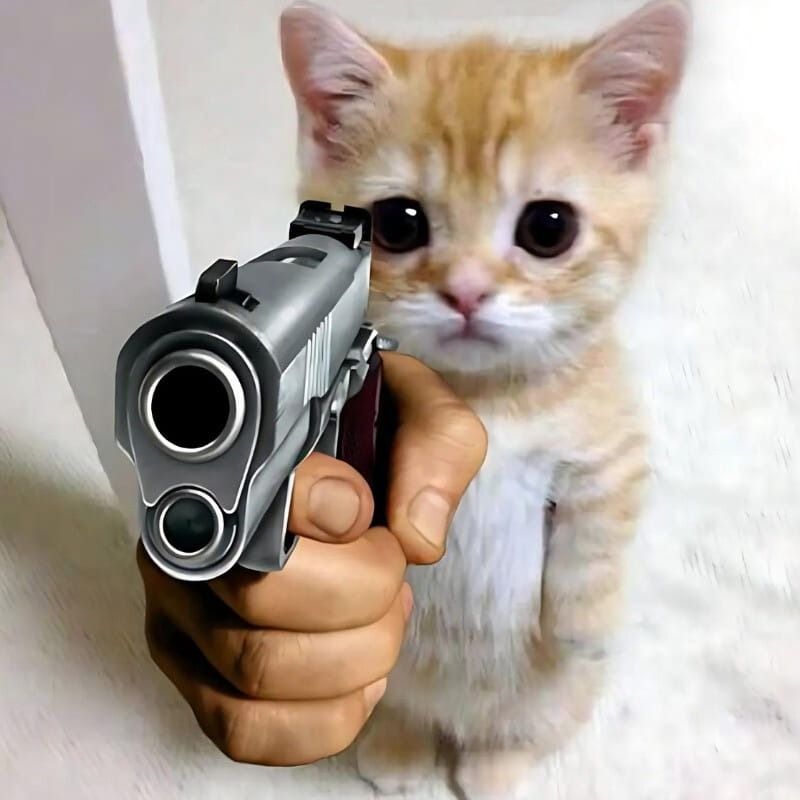 Meme mèo cười chỉ tay