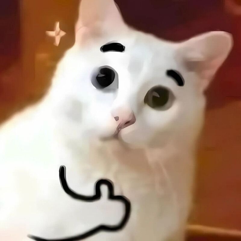 Meme mèo cười chỉ tay