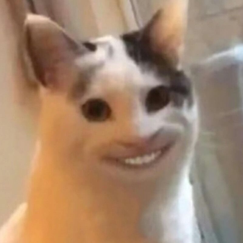 Meme mèo cười đểu/nhếch mép