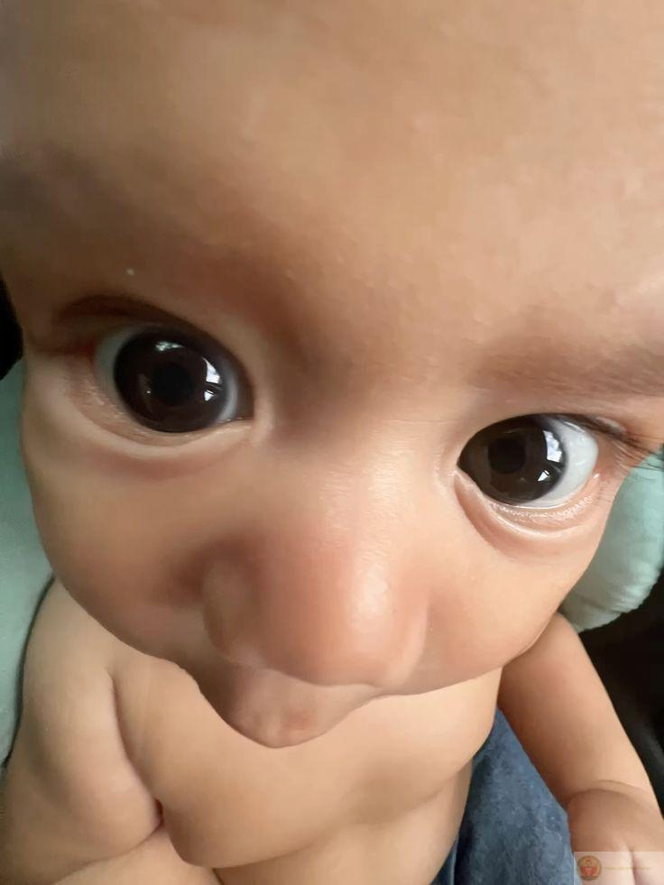 Loạt ảnh chế lườm vui nhộn được dân mạng thêm caption troll cực kỳ hài hước