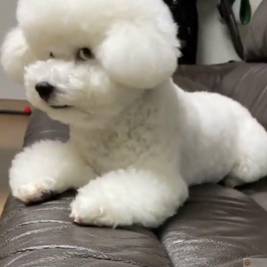 Meme lườm sắc bén mang đến cảm giác châm biếm nhẹ nhàng nhưng cực vui vẻ