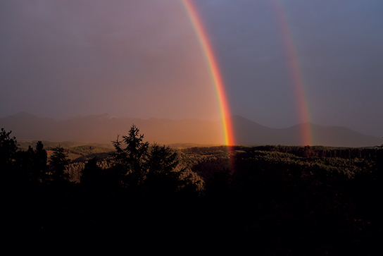 Blue sky over farmland