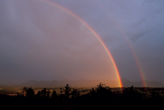 Rainbows (failed shot)