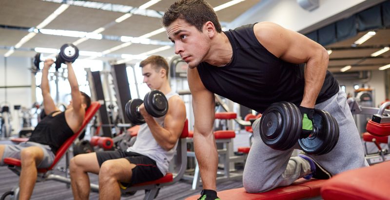 bắp cơ vân có hình dạng như thế nào