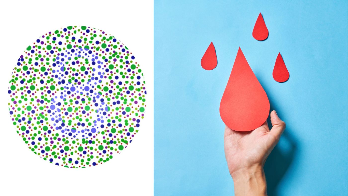 Bệnh mù màu, máu khó đông ở người di truyền không? Những thông tin cần biết