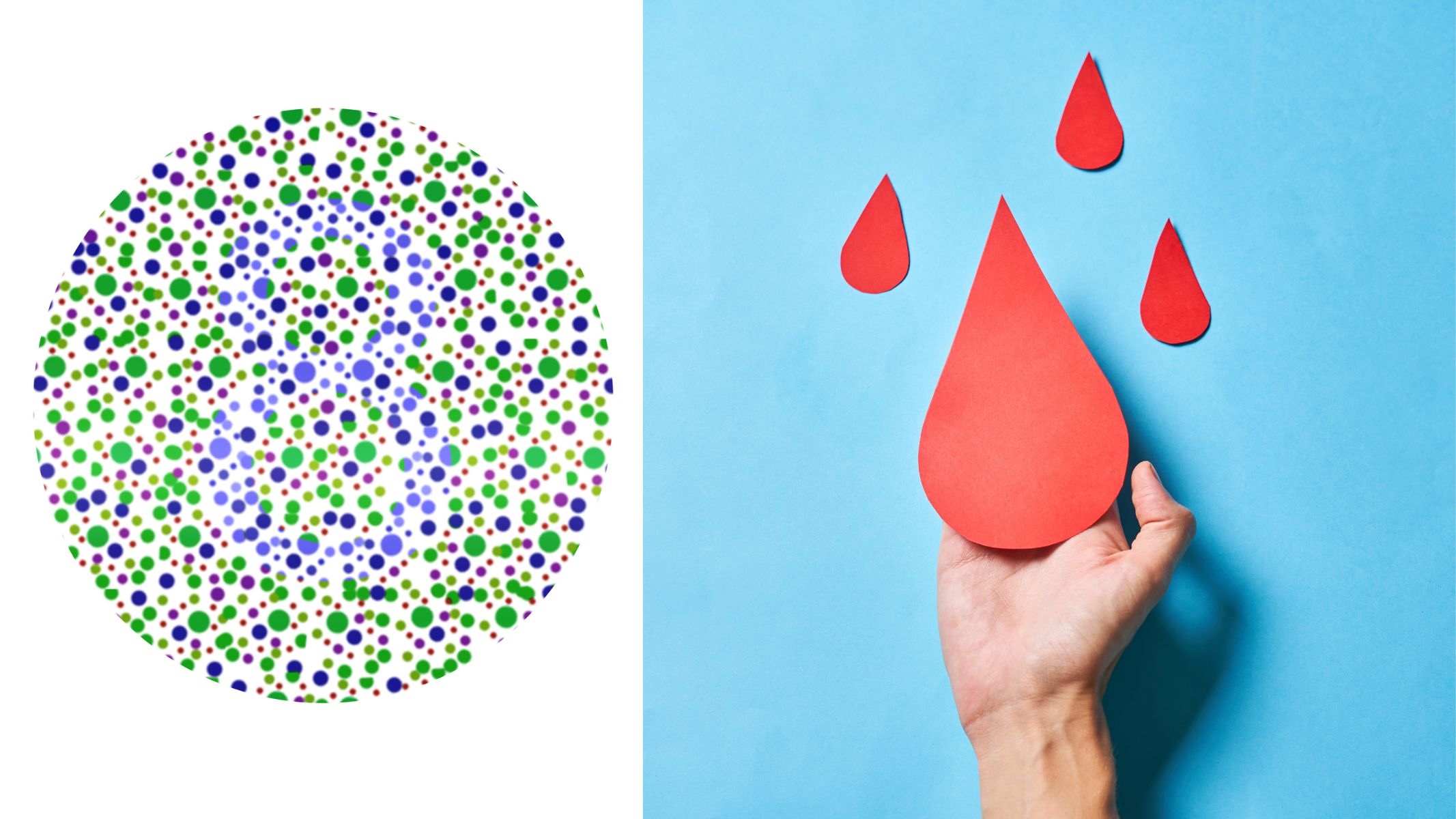 Bệnh mù màu, máu khó đông ở người di truyền không?