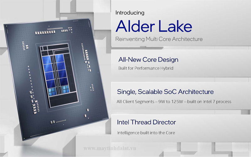 Sơ đồ nhân hiệu năng P-core và nhân hiệu suất E-core của Intel Alder Lake