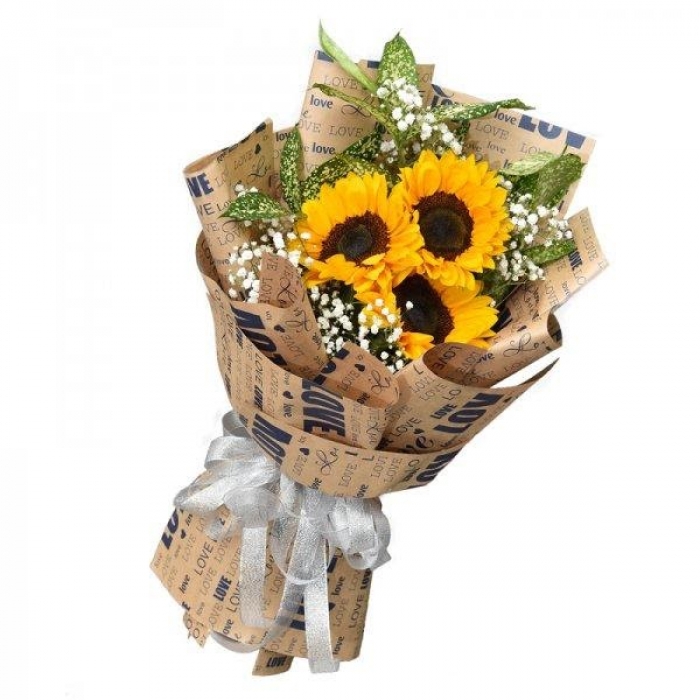 Bó hoa hướng dương
