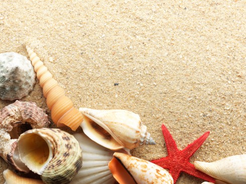 Hướng dẫn cách chụp ảnh đẹp ở biển