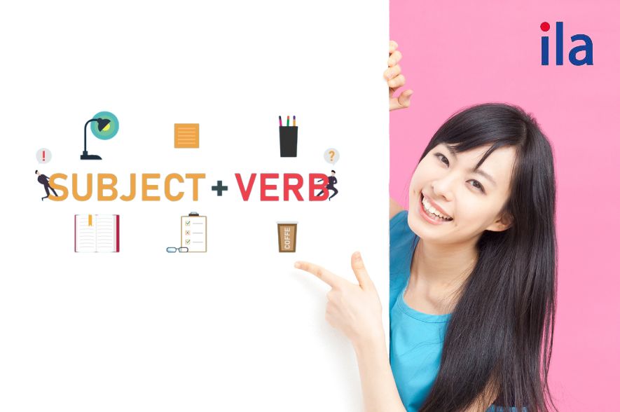 cấu trúc both and chia theo verb