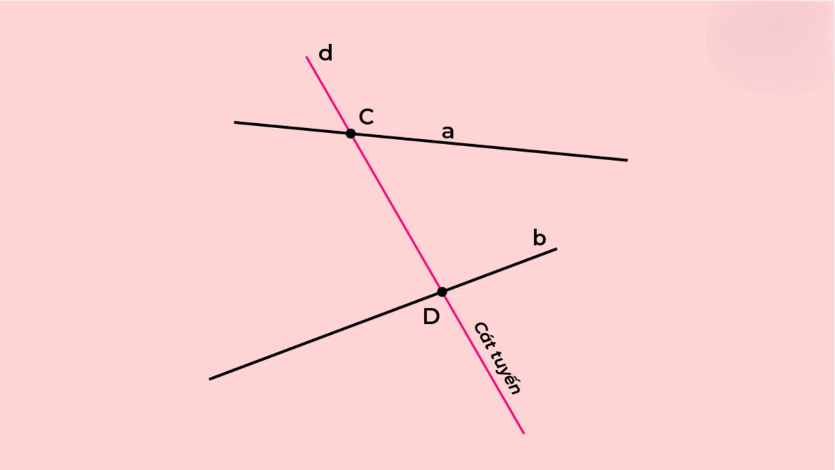 Đường cát tuyến là gì? Tất tần tật những điều cần biết