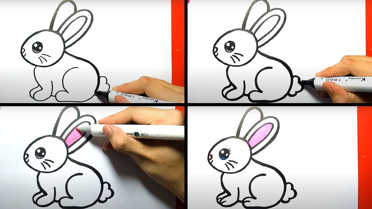 Cách vẽ con thỏ hoàn thiện và tô màu