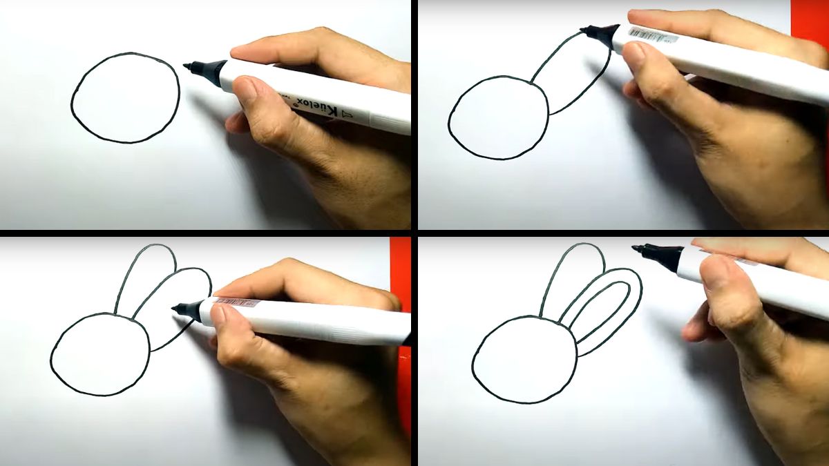 Hướng dẫn vẽ con thỏ nhanh chóng và dễ dàng thực hiện
