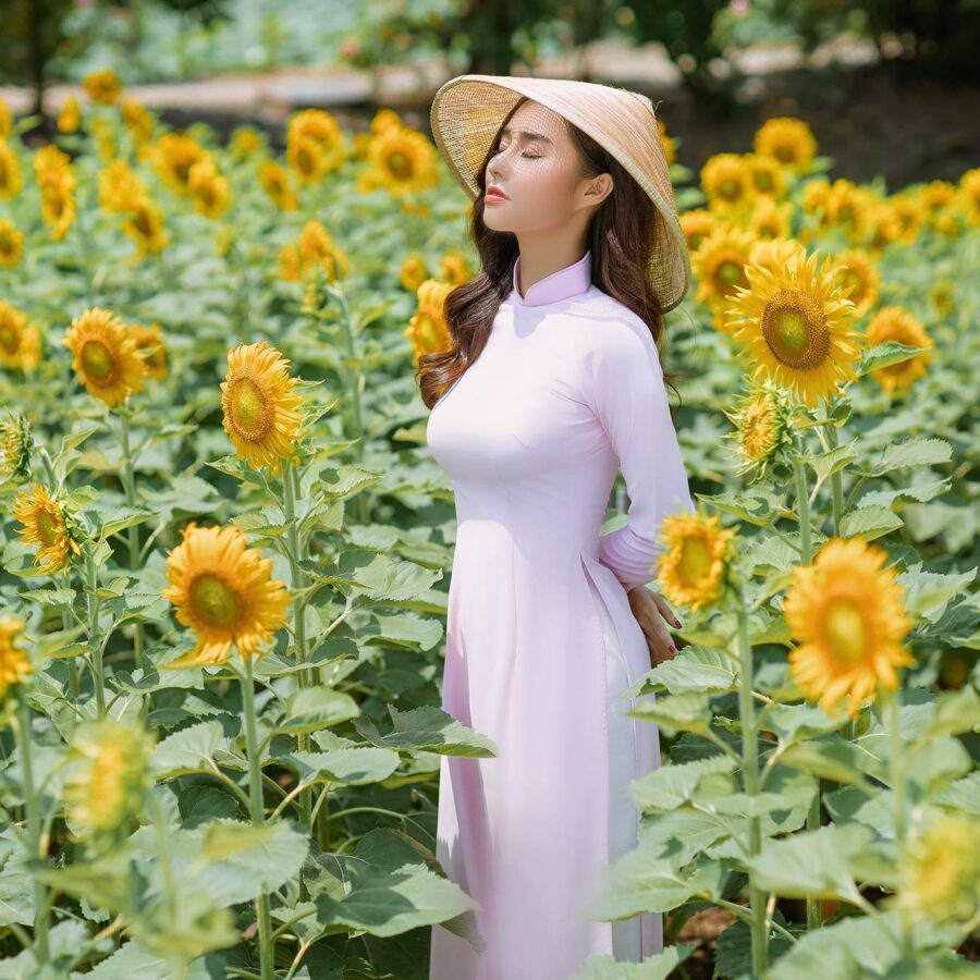 loại hoa được sử dụng để chụp hình Tết với hoa