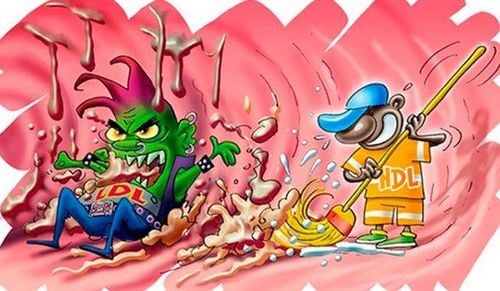 Chỉ số HDL - Cholesterol trong máu cao có ý nghĩa gì?