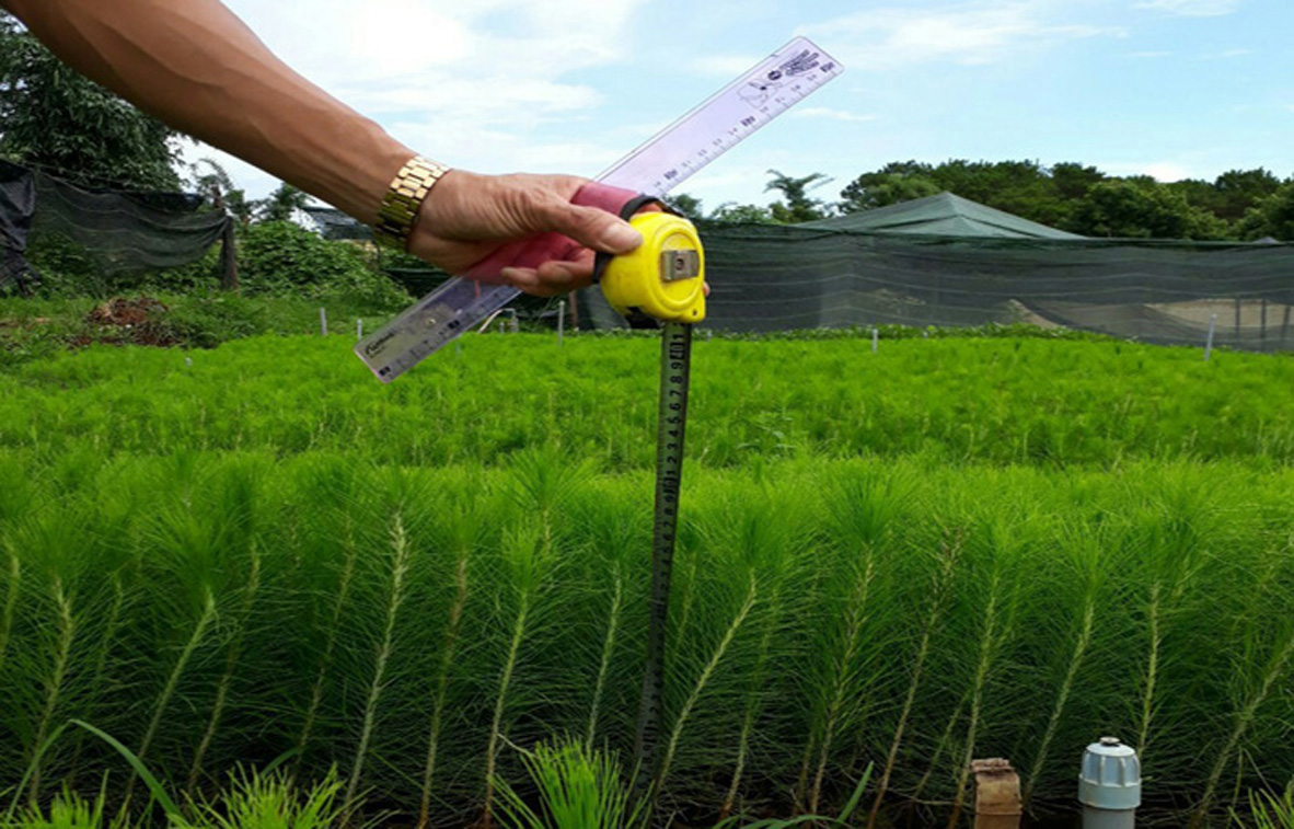 Giới thiệu Trung tâm Lâm nghiệp Nhiệt đới