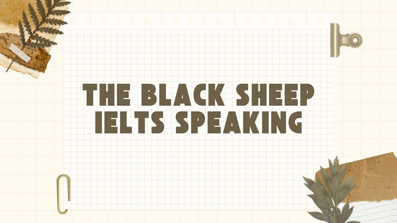 Black sheep là gì? Các idioms và cụm từ đồng nghĩa với The black sheep