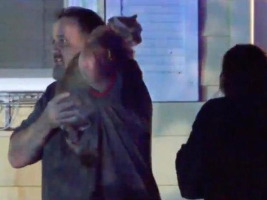 Những chú mèo thông minh cứu chủ thoát chết kỳ diệu - 6