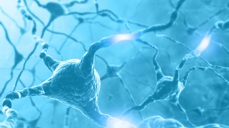 Nguyên nhân chỉ số Cl trong máu cao và ý nghĩa lâm sàng của xét nghiệm điện giải đồ 1