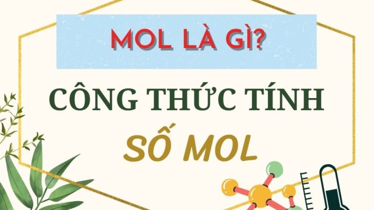 Hướng dẫn cách tính số mol
