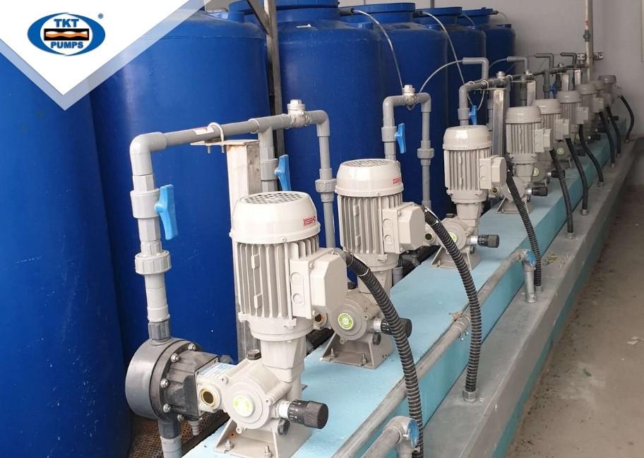 Bơm định lượng trục đứng