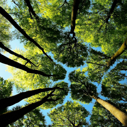 hình ảnh mẫu về góc nhìn từ bên dưới