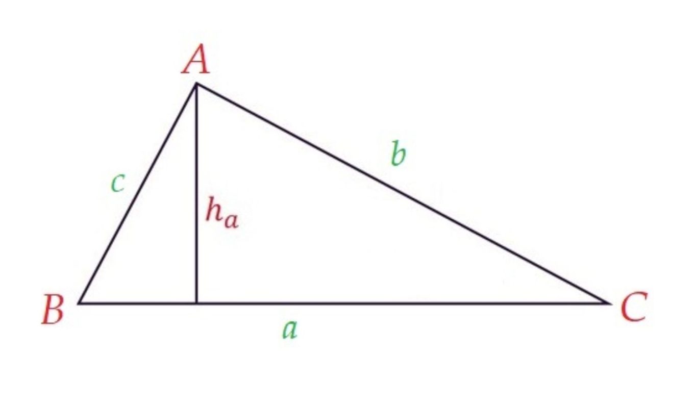 8 Công Thức Tính Diện Tích Tam Giác Thường Áp Dụng Nhất 2026