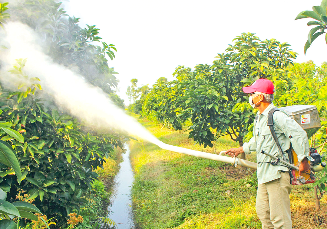 Canxi hydroxit được dùng khử chua, cải tạo đất và tiêu diệt nấm cũng như chữa bệnh cho cây trồng