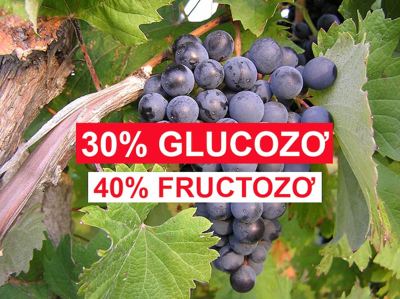Glucozo và Fructozo. (Ảnh: Sưu tầm Internet)