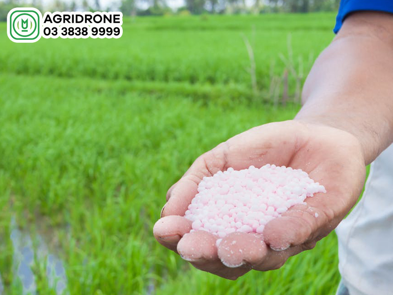 phan dam amoni khong nen bon cho loai dat 02