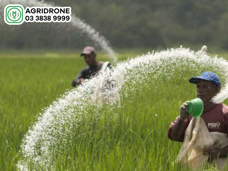 phan dam amoni khong nen bon cho loai dat 03