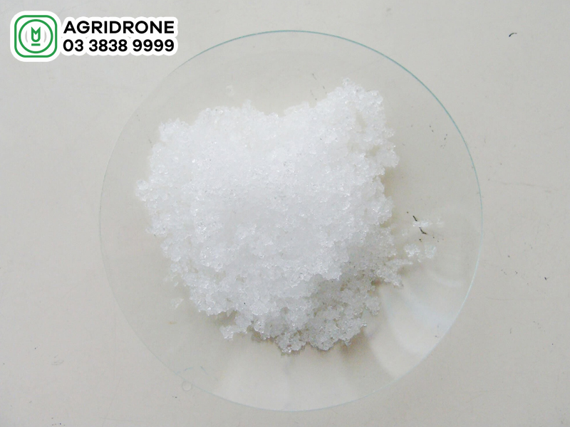 phan dam amoni khong nen bon cho loai dat 01